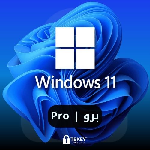 ويندوز  11 برو